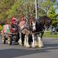 Devonport Christmas Parade event image