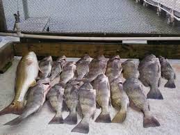 Maybe you would like to learn more about one of these? Floating Fishing Cabin In Landcut Or Baffin Bay Corpus Christi Tx For Sale In Corpus Christi Texas Classified Americanlisted Com