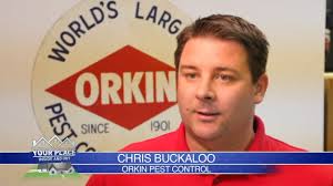 Guaranteed home pest control san diego. Your Place 01 Orkin Pest Control Youtube