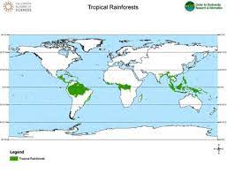 These areas often receive lots of sun due to their location around the. Tropical Rainforest Biomes Article Khan Academy