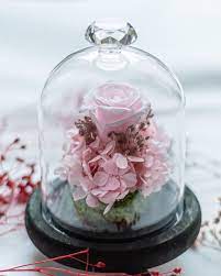 Maybe you would like to learn more about one of these? 10 Florists In Singapore With Preserved Flowers From 28 That Will Last A Long Time