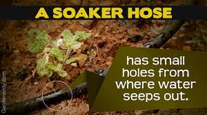 Soaker hoses often get clogged, crack, and don't always water evenly.; Tips For Installing And Using A Soaker Hose Gardenerdy