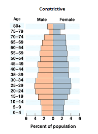 Distribution of world population by regions, 1950, 1990 and 2025. What Are The Different Types Of Population Pyramids Population Education