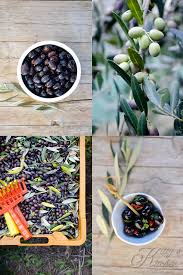 Il procedimento della ricetta è abbastanza semplice ma piuttosto lungo, occorrono per la corretta conservazione delle olive schiacciate è importante che queste siano ben ricoperte d'olio. Olive Nere Sotto Sale Kitty Skitchen