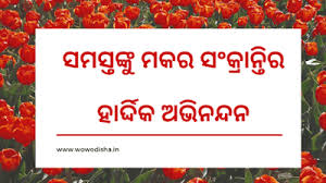 Happy Makar Sankranti 2020 Odia Image In 2020 Happy Makar Sankranti Good Night Wishes Makar Sankranti