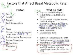 Basal Metabolic Rate Bmr Definition The Amount Of Energy Expended Daily By Humans At Rest Metabolism The Rate At Which The Body Consumes Calories Ppt Download