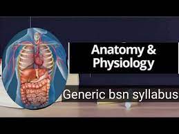 Bsc Nursing Syllabus 2020 Bsc Nursing Syllabus For Entrance Exam Bsc Nursing Admission Form Youtube Anatomy And Physiology Syllabus Physiology
