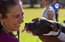 Play with many different breeds of dogs before choosing the perfect puppy for you. Humane Society Of Tampa Bay Hosts Free Shot Clinic For Dogs