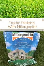 Although it takes a very large amount of milorganite to cause a fungal outbreak or burn your grass, the best practice is to use milorganite as directed in manufacturer instructions, to keep your lawn safe. 37 Lawn Care Tips Ideas Lawn Care Tips Lawn Care Healthy Lawn