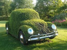 Oko Bug Mit Bildern Vw Kafer