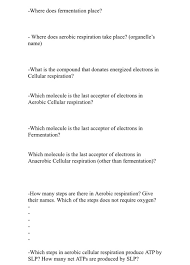 Mitochondria is the seat of cellular and aerobic respiration. Solved Where Does Fermentation Place Where Does Aerobic Chegg Com