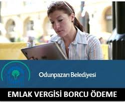 Odunpazari Belediyesi Emlak Vergisi Islemleri Vergi Borcu