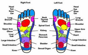 Foot Reflexology Barbs Blast