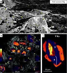 This is, of course, an average, and location and lifestyle play equal roles in determining the level of exposure. Geochronology Of Metasomatic Events Springerlink