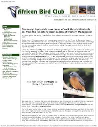 Image result for Paranecepsia alchorneifolia