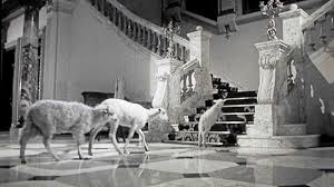 It's not just that it's a good film, with lots of ideas, symbolism and curiosity pushing through, but it carries this feeling to it i haven't felt or seen replicated very many times. The Exterminating Angel 1962 Movie Review Alternate Ending