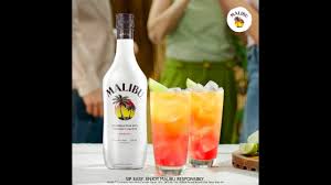 I have seen recently that the company makes many types of flavored rums now besides coconut, but their classic coconut flavor is what is used in this drink. How To Mix Malibu Bay Breeze Youtube