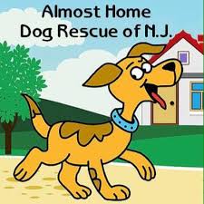 New jersey pet rehoming network. Nj Animal Events Adoption Network Home Facebook