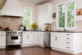 dark wood vs. light wood for kitchen