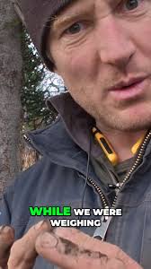 We harvested the potatoes. We weighed them., And then... we made the AI do  the math., Because homesteaders don’t have time to add., How close was your  guess to what we actually harvested?, ...