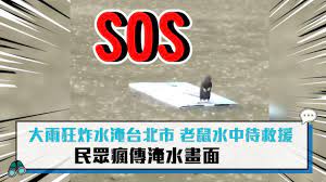 Jun 06, 2021 · 水淹到膝蓋 網曝高雄各地淹水慘況：高速公路下不去 出現水上列車 信義區淹水沖出老鼠 緊守浮板超慌張 無助神情網笑翻 # 高雄 # 鳳山 # 淹水. Cnews å¤§é›¨ç‹‚ç‚¸æ°´æ·¹å°åŒ—å¸‚è€é¼ æ°´ä¸­å¾…æ•'æ´æ°'çœ¾ç˜‹å‚³æ·¹æ°´ç•«é¢ Youtube