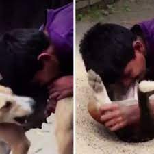 Parents can't stop their son drinking breast milk from DOGS - Daily Star