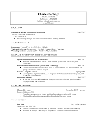 It specialist resume summary example. Information Technology Resume Templates At Allbusinesstemplates Com