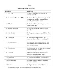 We did not find results for: Cell Organelles