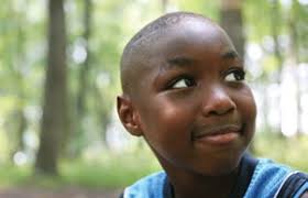 SIGHT, SOUND AND SYNAPSES