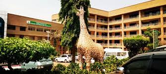 ¿cual ha sido tu experiencia más vergonzosa? The Spirit Of The Giraffe And How It Became Kiu S Logo Kampala International University Uganda