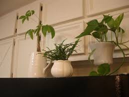 Don T Disturb This Groove Kitchen Cabinets Updated With Moulding Fridge Decor Kitchen Cabinet Remodel Update Cabinets