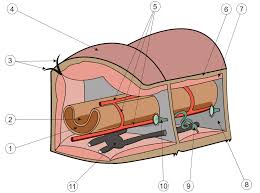 The questa advanced simulator combines high performance and capacity simulation with unified advanced debug and functional coverage capabilities. Queta Anatomia Wikipedia La Enciclopedia Libre