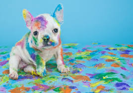 Meg lehet nézni az interneten lány teljes streaming. Hirek Melo Depo Diakmunka Diakszovetkezet Melo Depo Hu