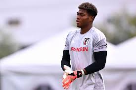 Goleiro Zion Suzuki é a personificação de um Japão plural na Copa do Mundo
