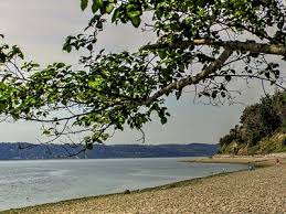 Maybe you would like to learn more about one of these? Camano Island Wa Tourismus In Camano Island Tripadvisor