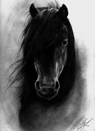 Al Hatal Realistic Animal Drawings Animal Drawings Horse Art