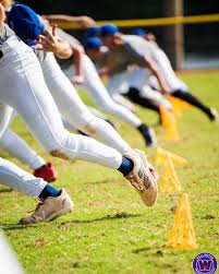 Wellington Sports Academy Travel Baseball Tryouts What an incredible  weekend! A huge thank you to all the talented athletes and supportive  parents who came out for our Travel Baseball tryouts. It was
