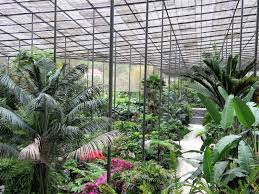 Portuguese cold greenhouse actually world's biggest shade house
