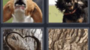 Word trivia, dingbats:read between the lines guess the answer word calm word to find and search all levels of this game, click on the button below: 4 Pics 1 Word Dog Barking Www 4 Pics 1 Word Com