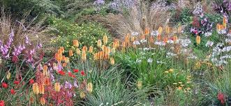 Maybe you would like to learn more about one of these? The South African Border At The Garden House South African Flowers Waterwise Garden Garden