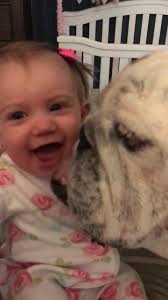 Bulldog kisses are the best!!!!