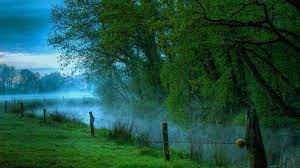 The great collection of high definition wallpapers nature for desktop, laptop and mobiles. Free Nature Hd Wallpapers Download Group 84