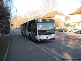Carouge Ligne 48 Tpg 516 Bus Pictures