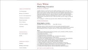 This is an accessible template. Free 8 Sample Marketing Executive Resume Templates In Ms Word Pdf