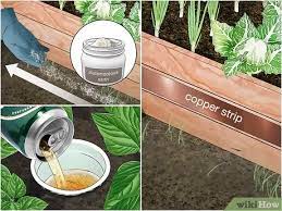 Is something eating your plants? 3 Ways To Keep Animals Out Of Your Vegetable Garden Wikihow