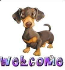 Dachshund's Castillo Tx.