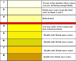 Are You Dehydrated