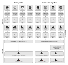 non parametric combination npc for brain imaging brainder