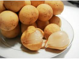 Banyak orang yang menyukai kandungan vitamin c ini karena memiliki banyak manfaat dan khasiat bagi. Benefits And Benefits Of Duku Fruits For Health And Beauty Steemkr