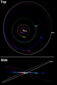 Image result for Salacia